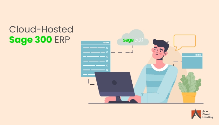 How to take backup of company data in Sage Business Vision - Sage 300 ERP –  Tips, Tricks and Components